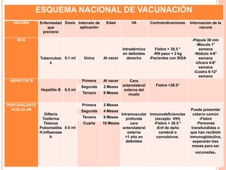 ESQUEMA NACIONAL DE VACUNACIÓN
VACUNA Enfermedad
que
previene
Dosis Intervalo de
aplicación
Edad VA Contraindicaciones Información de la
vacuna
BCG
Tuberculosi
s
0.1 ml Única Al nacer
Intradérmica
en deltoides
derecho
Fiebre > 38.5 °
-RN peso < 2 kg
-Pacientes con SIDA
-Pápula 30 min
-Macula 1°
semana
-Nódulo 4-6°
semana
-Ulcera 4-6°
semana
-Costra 6-12°
semana
HEPATITIS B
Hepatitis B 0.5 ml
Primera Al nacer Cara
anterolateral
externa del
muslo
Fiebre >38.5°Segunda 2 Meses
Tercera 6 Meses
PENTAVALENTE
ACELULAR
Difteria
Tosferina
Tétanos
Poliomielitis
H.influenzae
b
0.5 ml
Primera 2 Meses
Intramuscular
profunda
cara
anterolateral
externa
>1 año en
deltoides
Inmunodeficiencias
(excepto VIH)
-Fiebre > 38.5 °
-Enf de daño
cerebral o
convulsivos.
Puede presentar
catarro común
-Fiebre
-Personas
transfundidas o
que han recibido
inmunoglobulina,
esperarán tres
meses para ser
vacunadas.
Segunda 4 Meses
Tercera 6 Meses
Cuarta 18 Meses
 
