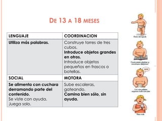 DE 13 A 18 MESES
LENGUAJE COORDINACION
Utiliza más palabras. Construye torres de tres
cubos.
Introduce objetos grandes
en otros.
Introduce objetos
pequeños en frascos o
botellas.
SOCIAL MOTORA
Se alimenta con cuchara
derramando parte del
contenido.
Se viste con ayuda.
Juega solo.
Sube escaleras,
gateando.
Camina bien sólo, sin
ayuda.
 