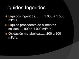 Líquidos Ingeridos.
 Líquidos ingeridos. . . . . 1 000 a 1 500
ml/día.
 Líquido procedente de alimentos
sólidos. . . 900 a 1 000 ml/día.
 Oxidación metabólica……200 a 300
ml/día.
 