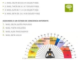 §    1. NIVEL DELTA DE 0.5 A 4 CICLOS P/SEG

§    2. NIVEL THETA DE 4.1 A 7 CICLOS P/SEG

§    3. NIVEL ALFA DE 7.1 A 14 CICLOS P/SEG

§    4. NIVEL BETA DE 14.1 A 55 CICLOS P/SEG



ASOCIADOS A UN ESTADO DE CONCIENCIA DIFERENTE

1.     NIVEL DELTA SUEÑO PROFUNDO

2.     NIVEL THETA ENSUEÑOS

3.     NIVEL ALFA TRASCENDENTE

4.     NIVEL BETA VIGILIA
 