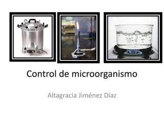 Control de microorganismo
Altagracia Jiménez Díaz