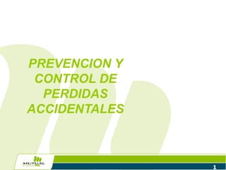 PREVENCION Y
 CONTROL DE
  PERDIDAS
ACCIDENTALES



               1
 