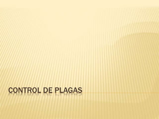 CONTROL DE PLAGAS
 