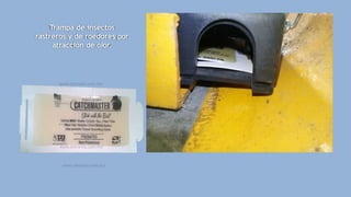 Trampa de insectos
rastreros y de roedores por
atracción de olor.
 