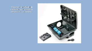 Estación de cebado de
roedores por atrayente
alimenticio con veneno.
 