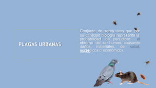 PLAGAS URBANAS
Conjunto de seres vivos que por
su cantidad biología representa la
probabilidad de perjudicar
el
entorno del ser human, causando
daños materiales, de
salud,
ecológicos o económicos.
 