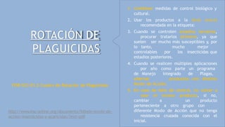 ROTACIÓN DE
PLAGUICIDAS
1. Combinar medidas de control biológico y
cultural.
2. Usar los productos a la dosis exacta
recomendada en la etiqueta:
3. Cuando se controlen estadios larvarios,
procurar tratarlos primero, ya que
suelen ser mucho más susceptibles y, por
lo tanto, mucho mejor
controlables por los insecticidas que
estadios posteriores.
4. Cuando se realicen múltiples aplicaciones
por año como parte un programa
de Manejo Integrado de Plagas,
alternar productos con distinto
Modo de Acción.
5. En caso de fallo de control, no volver a
usar el mismo producto, si no,
cambiar a un producto
perteneciente a otro grupo con
diferente Modo de Acción que no tenga
resistencia cruzada conocida con el
inicial.
FOR-SCC-01.3 Cuadro de Rotación de Plaguicidas
http://www.irac-online.org/documents/folleto-modo-de-
accion-insecticidas-y-acaricidas/?ext=pdf
 