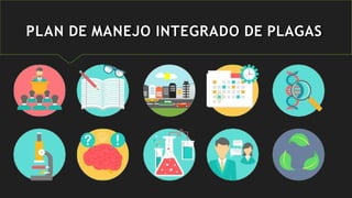 PLAN DE MANEJO INTEGRADO DE PLAGAS
 