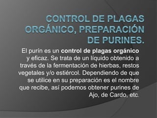 El purín es un control de plagas orgánico
y eficaz. Se trata de un líquido obtenido a
través de la fermentación de hierbas, restos
vegetales y/o estiércol. Dependiendo de que
se utilice en su preparación es el nombre
que recibe, así podemos obtener purines de
Ajo, de Cardo, etc.
 