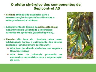 O efeito sinérgico dos componentes de
                  Sepicontrol A5
• Glicina: aminoácido essencial para a
  reestruturação das proteínas dérmicas e
  reforça a barreira cutânea.


• Acoplamento de Glicina ao ácido octanóico:
  lipoaminoácido vetorizado à diferentes
  camadas da epiderme (capriloil glicina).


• Canela: alto teor de     taninos, atua como
  adstringente tônico e estimulante das células
  cutâneas (Cinnamomum zeylanicum)
     Alto teor de aldeído cinâmico que regula a
     flora bacteriana
     Alto teor de minerais provendo os
     elementos necessários para a regeneração
     da pele.
 