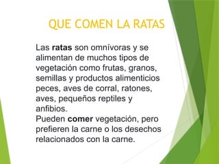 MANEJO INTEGRADO DE PLAGAS Y CONTROL DE ROEDORES | PPTX