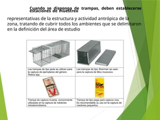 MANEJO INTEGRADO DE PLAGAS Y CONTROL DE ROEDORES | PPTX