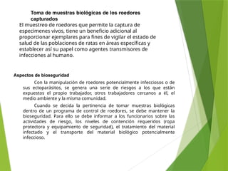 MANEJO INTEGRADO DE PLAGAS Y CONTROL DE ROEDORES | PPTX