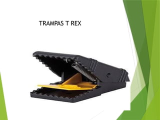 MANEJO INTEGRADO DE PLAGAS Y CONTROL DE ROEDORES | PPTX