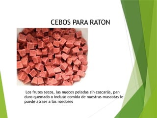 MANEJO INTEGRADO DE PLAGAS Y CONTROL DE ROEDORES | PPTX