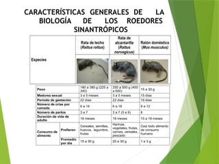 MANEJO INTEGRADO DE PLAGAS Y CONTROL DE ROEDORES | PPTX