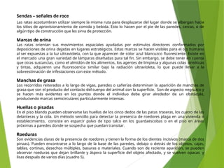 MANEJO INTEGRADO DE PLAGAS Y CONTROL DE ROEDORES | PPTX