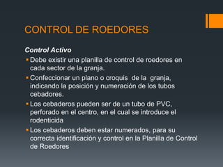 Control de roedores y moscas | PDF