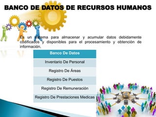 BANCO DE DATOS DE RECURSOS HUMANOS
Es un sistema para almacenar y acumular datos debidamente
codificados y disponibles para el procesamiento y obtención de
información.
Banco De Datos
Inventario De Personal
Registro De Áreas
Registro De Puestos
Registro De Remuneración
Registro De Prestaciones Medicas
 