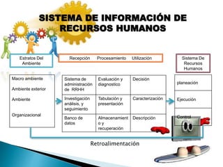 SISTEMA DE INFORMACIÓN DE
RECURSOS HUMANOS
Estratos Del
Ambiente
Recepción Procesamiento Utilización Sistema De
Recursos
Humanos
Macro ambiente
Ambiente exterior
Ambiente
Organizacional
Sistema de
administración
de RRHH
Evaluación y
diagnostico
Decisión
Investigación
análisis, y
seguimiento
Tabulación y
presentación
Caracterización
Banco de
datos
Almacenamient
o y
recuperación
Descripción
planeación
Ejecución
Control
Retroalimentación
 