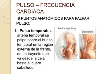 PULSO – FRECUENCIA
CARDIACA
9 PUNTOS ANATÓMICOS PARA PALPAR
PULSO:
1.- Pulso temporal: la
arteria temporal se
palpa sobre el hueso
temporal en la región
externa de la frente,
en un trayecto que
va desde la ceja
hasta el cuero
cabelludo.
 