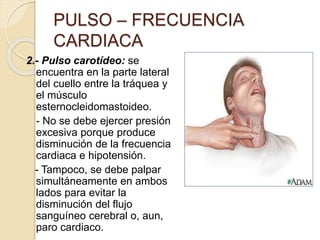 2.- Pulso carotídeo: se
encuentra en la parte lateral
del cuello entre la tráquea y
el músculo
esternocleidomastoideo.
- No se debe ejercer presión
excesiva porque produce
disminución de la frecuencia
cardiaca e hipotensión.
- Tampoco, se debe palpar
simultáneamente en ambos
lados para evitar la
disminución del flujo
sanguíneo cerebral o, aun,
paro cardiaco.
PULSO – FRECUENCIA
CARDIACA
 