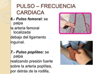 6.- Pulso femoral: se
palpa
la arteria femoral
localizada
debajo del ligamento
inguinal.
7.- Pulso poplíteo: se
palpa
realizando presión fuerte
sobre la arteria poplítea,
por detrás de la rodilla,
PULSO – FRECUENCIA
CARDIACA
 