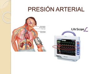 PRESIÓN ARTERIAL
 