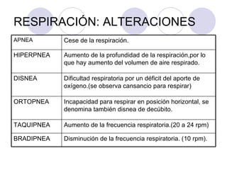RESPIRACIÓN: ALTERACIONES APNEA Cese de la respiración. HIPERPNEA Aumento de la profundidad de la respiración,por lo que hay aumento del volumen de aire respirado. DISNEA Dificultad respiratoria por un déficit del aporte de oxígeno.(se observa cansancio para respirar) ORTOPNEA Incapacidad para respirar en posición horizontal, se denomina también disnea de decúbito. TAQUIPNEA Aumento de la frecuencia respiratoria.(20 a 24 rpm) BRADIPNEA Disminución de la frecuencia respiratoria. (10 rpm). 
