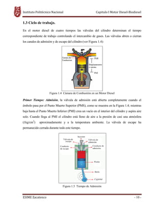 Instituto Politécnico Nacional
ESIME Zacatenco
1.3 Ciclo de trabajo.
En el motor diesel de cuatro tiempos las válvulas
correspondiente de trabajo controlando el intercambio de gases. Las válvulas abren o cierran
los canales de admisión y de escape del cilindro
Figura 1.4
Primer Tiempo: Admisión, la válvula de admisión está abierta completamente cuando el
émbolo pasa por el Punto Muerto Superior (PMS), como se muestra en la Figura 1.4; mientras
baja hasta el Punto Muerto Inferior (PMI) crea un vacío en el interior del cilindro y
solo. Cuando llega al PMI el cilindro está lleno de aire a la presión de casi una atmósfera
(1kg/cm2
) aproximadamente y a la temperatura ambiente. La válvula de escape ha
permanecido cerrada durante todo este tiempo.
Instituto Politécnico Nacional Capitulo I Motor Diesel
En el motor diesel de cuatro tiempos las válvulas del cilindro determinan el tiempo
correspondiente de trabajo controlando el intercambio de gases. Las válvulas abren o cierran
los canales de admisión y de escape del cilindro (ver Figura 1.4):
4 Cámara de Combustión en un Motor Diesel
, la válvula de admisión está abierta completamente cuando el
émbolo pasa por el Punto Muerto Superior (PMS), como se muestra en la Figura 1.4; mientras
baja hasta el Punto Muerto Inferior (PMI) crea un vacío en el interior del cilindro y
solo. Cuando llega al PMI el cilindro está lleno de aire a la presión de casi una atmósfera
) aproximadamente y a la temperatura ambiente. La válvula de escape ha
permanecido cerrada durante todo este tiempo.
Figura 1.5 Tiempo de Admisión
Capitulo I Motor Diesel-Biodiesel
- 10 -
del cilindro determinan el tiempo
correspondiente de trabajo controlando el intercambio de gases. Las válvulas abren o cierran
, la válvula de admisión está abierta completamente cuando el
émbolo pasa por el Punto Muerto Superior (PMS), como se muestra en la Figura 1.4; mientras
baja hasta el Punto Muerto Inferior (PMI) crea un vacío en el interior del cilindro y aspira aire
solo. Cuando llega al PMI el cilindro está lleno de aire a la presión de casi una atmósfera
) aproximadamente y a la temperatura ambiente. La válvula de escape ha
 