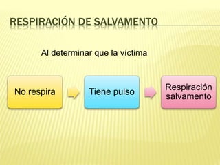 RESPIRACIÓN DE SALVAMENTO
No respira Tiene pulso
Respiración
salvamento
Al determinar que la víctima
 