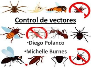 Control de vectores

   •Diego Polanco
  •Michelle Burnes
 