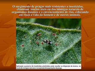 O surgimento de pragas mais resistentes a inseticidas,  eliminam  insetos úteis ou dos inimigos naturais de organismos danosos e o envenenamento de rios, colocando em risco a vida do homem e de outros animais.  