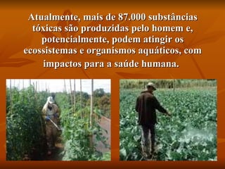 Atualmente, mais de 87.000 substâncias tóxicas são produzidas pelo homem e, potencialmente, podem atingir os ecossistemas e organismos aquáticos, com impactos para a saúde humana.   
