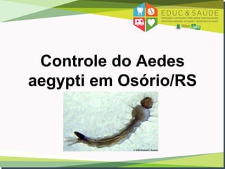 Controle do Aedes
aegypti em Osório/RS
 