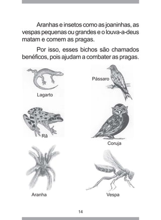 14
Aranhaseinsetoscomoasjoaninhas,as
vespaspequenasougrandeseolouva-a-deus
matam e comem as pragas.
Por isso, esses bichos...