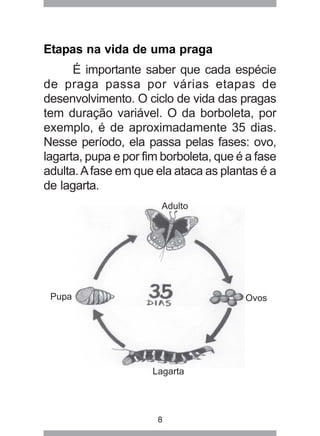 8
Etapas na vida de uma praga
É importante saber que cada espécie
de praga passa por várias etapas de
desenvolvimento. O c...