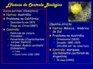 Eficácia do Controle Biológico
Icerya purchasi, (Hemiptera)
  Nativa: Austrália
  Problema na Califórnia
   – Descoberta em 1872
   – Praga de Citrus (1887)
                                   Opuntia stricta
  Controle:                          Nativa: México, América
   – Pesticida de cianura
                                     do Sul
     fracassou                       Problema na Austrália
   – Parasitoide (Cryptochaetum       – Ornamental (1839)
     iceryae, Diptera)                – Invasão: 1880-1925
   – Predador Rodolia cardinalis        243,000 km2 de cobertura
     (Coleoptera)
         1 ano
                                     Controle: mariposa
         Custo total: US$ 1,500      Cactoblastis cactorum da
                                     Argentina
                                      – 10 anos (1940)
 
