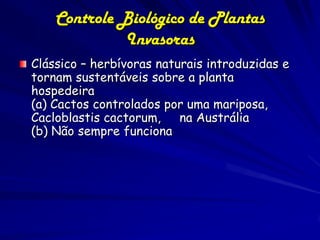 Controle Biológico de Plantas
              Invasoras
Clássico – herbívoras naturais introduzidas e
tornam sustentáveis sobre a planta
hospedeira
(a) Cactos controlados por uma mariposa,
Cacloblastis cactorum,    na Austrália
(b) Não sempre funciona
 