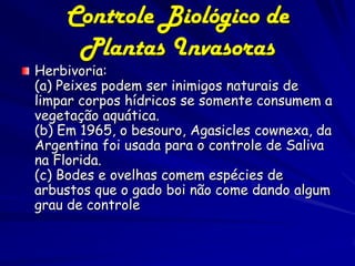 Controle Biológico de
     Plantas Invasoras
Herbivoria:
(a) Peixes podem ser inimigos naturais de
limpar corpos hídricos se somente consumem a
vegetação aquática.
(b) Em 1965, o besouro, Agasicles cownexa, da
Argentina foi usada para o controle de Saliva
na Florida.
(c) Bodes e ovelhas comem espécies de
arbustos que o gado boi não come dando algum
grau de controle
 