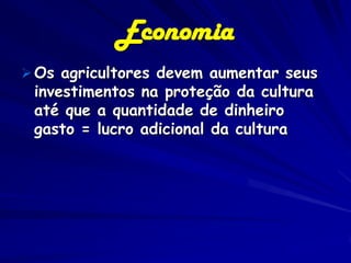 Economia
 Os agricultores devem aumentar seus
 investimentos na proteção da cultura
 até que a quantidade de dinheiro
 gasto = lucro adicional da cultura
 