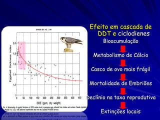 Efeito em cascada de
   DDT e ciclodienes
      Bioacumulação

  Metabolismo de Cálcio

  Casco de ovo mais frágil

 Mortalidade de Embriões

Declínio na taxa reprodutiva

      Extinções locais
 
