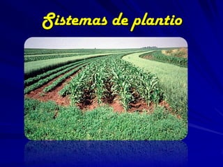 Sistemas de plantio
 