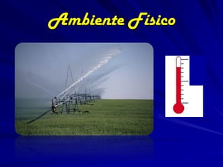 Ambiente Físico
 