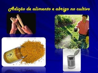 Adição de alimento e abrigo no cultivo
 