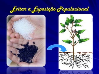 Evitar a Exposição Populacional
 