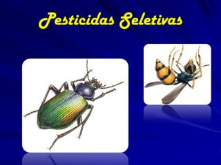 Pesticidas Seletivas
 