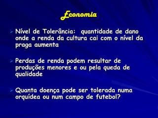 Economia
 Nível de Tolerância: quantidade de dano
 onde a renda da cultura cai com o nível da
 praga aumenta

 Perdas de renda podem resultar de
 produções menores e ou pela queda de
 qualidade

 Quanta doença pode ser tolerada numa
 orquídea ou num campo de futebol?
 