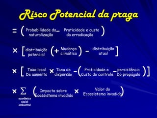 Risco Potencial da praga
=(    Probabilidade da
       naturalização
                         -    Praticidade e custo
                               da erradicação
                                                    )
×[    distribuição
       potencial     (+      Mudança
                             climática   )-   distribuição
                                                  atual      ]
×[     Taxa local
      De aumento     ×    Taxa de
                         dispersão   -(    Praticidade e
                                                         - persistência
                                         Custo do controle Do propágulo   )]
× (
 econômico
               Impacto sobre
             Ecossistema invadido
                                     ×          Valor do
                                          Ecossistema invadido   )
   social
 ambiental
 
