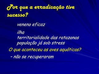 Por que a erradicação tive
sucesso?
    veneno eficaz
    ilha
    territorialidade das ratazanas
    população já sob stress
O que aconteceu as aves aquáticas?
 – não se recuperaram
 